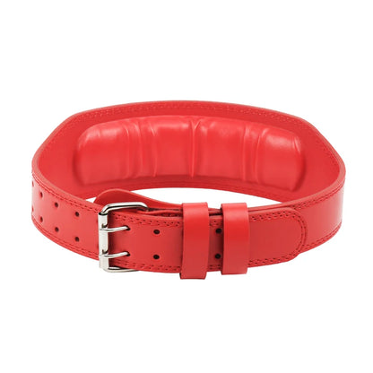 Weight Lifting Belt